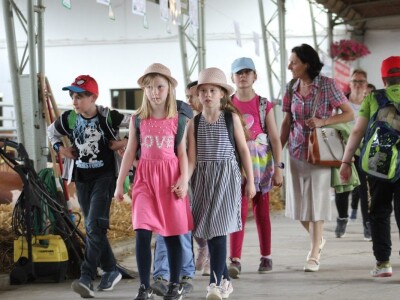 U prolazu, Novosadski sajam