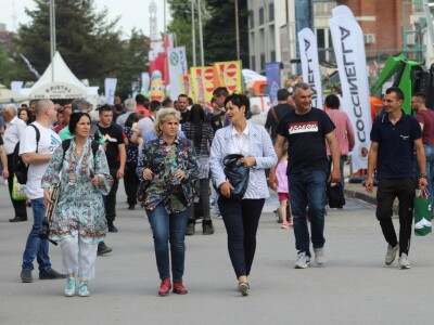 U prolazu, Novosadski sajam