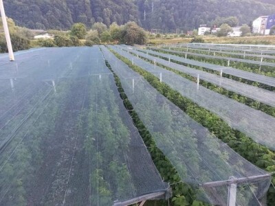 U RaspberryLand-u Sarajevo sve spremno za nadolazeću sezonu