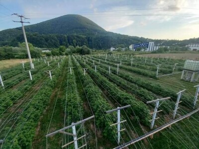 U RaspberryLand-u Sarajevo sve spremno za nadolazeću sezonu