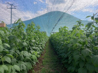 U RaspberryLand-u Sarajevo sve spremno za nadolazeću sezonu