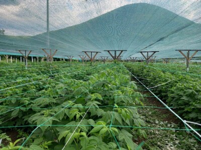 U RaspberryLand-u Sarajevo sve spremno za nadolazeću sezonu