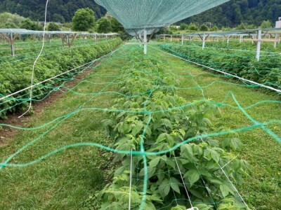 U RaspberryLand-u Sarajevo sve spremno za nadolazeću sezonu