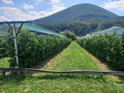 U RaspberryLand-u Sarajevo sve spremno za nadolazeću sezonu