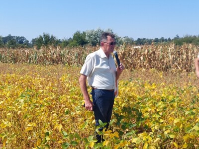 U Semberiji se očekuju dobri prinosi kukuruza i soje U Semberiji se očekuju dobri prinosi kukuruza i soje