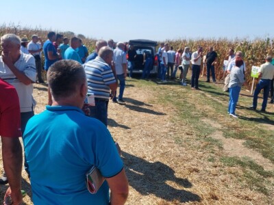 U Semberiji se očekuju dobri prinosi kukuruza i soje U Semberiji se očekuju dobri prinosi kukuruza i soje