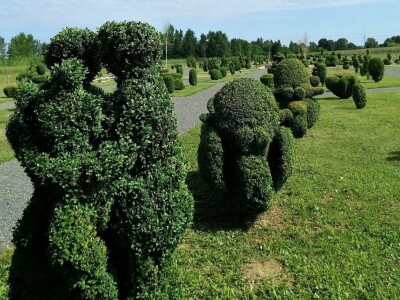 U Sračincu jeotvoren topiary  park
