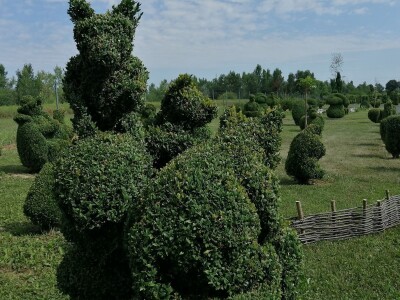 U Sračincu jeotvoren topiary  park