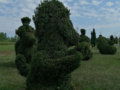 U Sračincu jeotvoren topiary  park