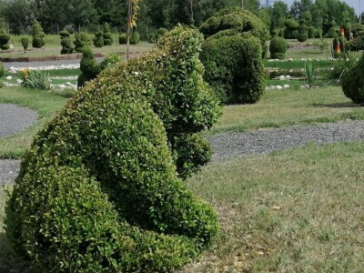 U Sračincu jeotvoren topiary  park