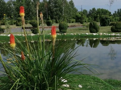 U Sračincu jeotvoren topiary  park
