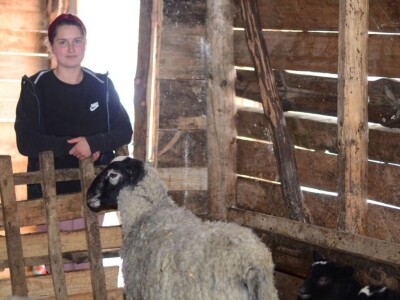 U Srebrenici ovaca k'o u priči, a vunu neće niko U Srebrenici ovaca k'o u priči, a vunu neće niko