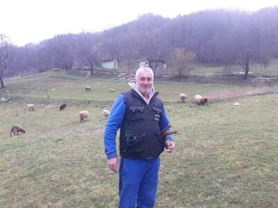 U Srebrenici ovaca k'o u priči, a vunu neće niko U Srebrenici ovaca k'o u priči, a vunu neće niko