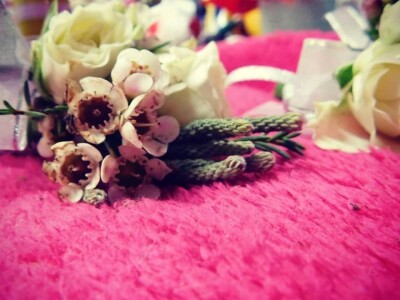 U suvremenim plastenicima godišnje uzgoje 70 000 komada rezanih cvjetova