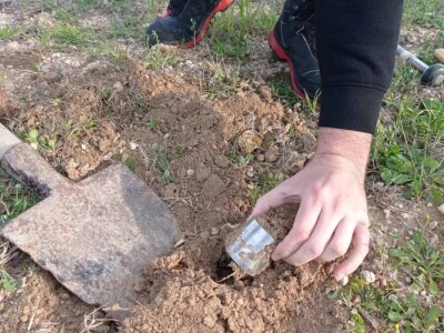U tlu maslinika Zadarske županije niske razine pesticida, ali treba pripaziti na bakar