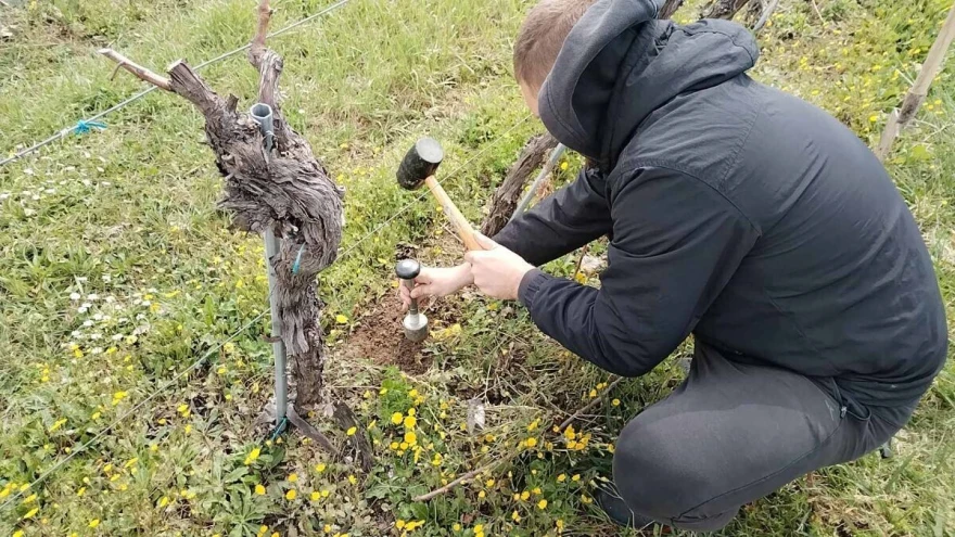bakar pesticidi