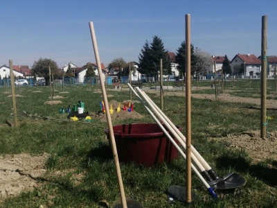 U Varaždinu je zasađen prvi javni voćnjak