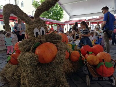U Varaždinu održana 2. međunarodna izložba bučinih ulja Alpe -Adria