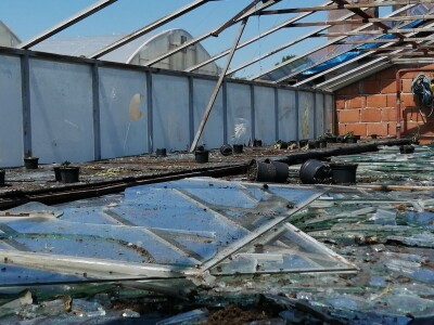 U Velikom Bukovcu saniraju štete od tuče i očekuju brzu pomoć države