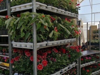 U Velikom Bukovcu saniraju štete od tuče i očekuju brzu pomoć države