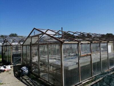 U Velikom Bukovcu saniraju štete od tuče i očekuju brzu pomoć države