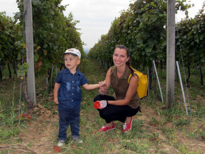 U vinogradu U vinogradu