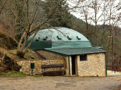 U višegradskoj banji raste endemska paprat vilina vlas U višegradskoj banji raste endemska paprat vilina vlas
