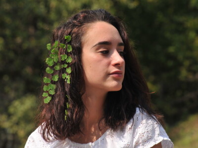 U višegradskoj banji raste endemska paprat vilina vlas U višegradskoj banji raste endemska paprat vilina vlas