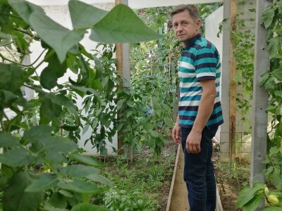 U vrtu Damira Crlenog, predsjednika Hrvatskog kuharskog saveza