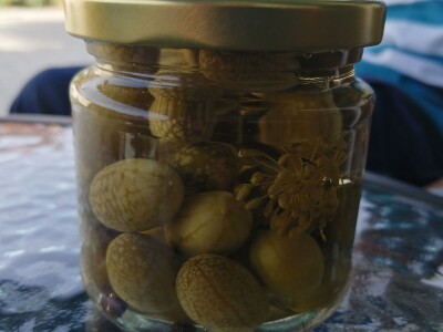 U vrtu Damira Crlenog, predsjednika Hrvatskog kuharskog saveza