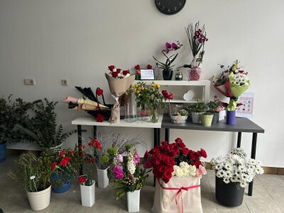 U Zagrebu otvorena studentska cvjećarna, a vlasnica je još uvijek srednjoškolka