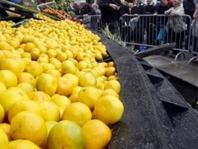 Ubrane mandarine se i lađama izvlače s plantaža