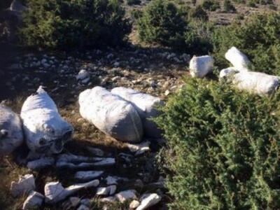 Ubrano smilje u vrećama odbačeno u prirodi