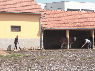 Učenici Poljoprivredne škole iz Valjeva na praksi Učenici Poljoprivredne škole iz Valjeva na praksi
