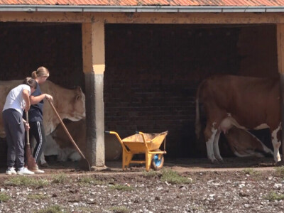 Učenici Poljoprivredne škole iz Valjeva na praksi Učenici Poljoprivredne škole iz Valjeva na praksi