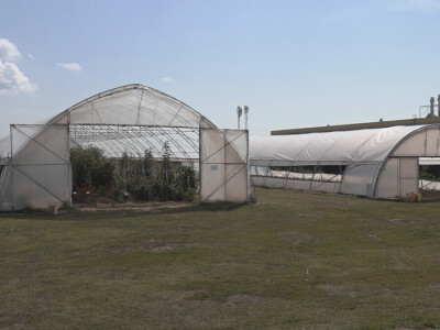 Učenici Poljoprivredne škole iz Valjeva na praksi Učenici Poljoprivredne škole iz Valjeva na praksi