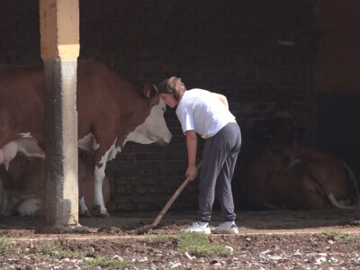 Učenici Poljoprivredne škole iz Valjeva na praksi Učenici Poljoprivredne škole iz Valjeva na praksi