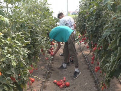 Učenici Poljoprivredne škole iz Valjeva na praksi Učenici Poljoprivredne škole iz Valjeva na praksi