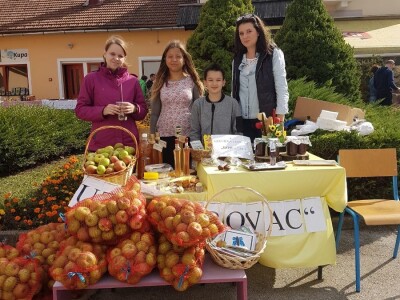 Učenička zadruga Bobovac - Brod na Kupi