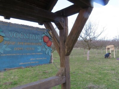 Učeničko zadrugarstvo