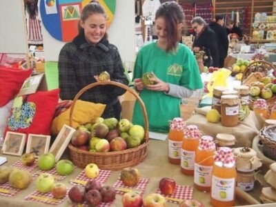 Učeničko zadrugarstvo