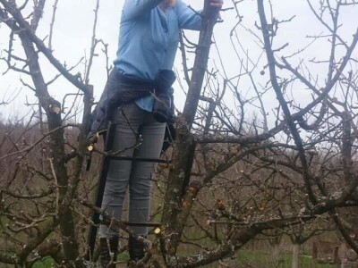 Učeničko zadrugarstvo