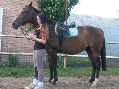 OPG Krivić - Bonanza