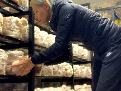 Učiteljica joge iz Samobora okrenula se uzgoju neobične lavlje grive Učiteljica joge iz Samobora okrenula se uzgoju neobične lavlje grive