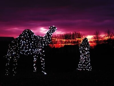 Udruga Arteco Pavletić