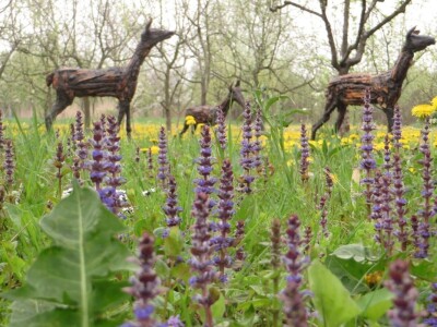 Udruga Arteco Pavletić