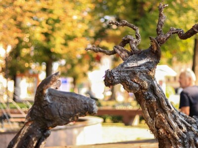 Udruga Arteco Pavletić