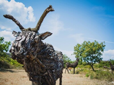 Udruga Arteco Pavletić