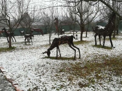 Udruga Arteco Pavletić