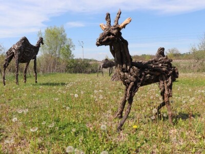 Udruga Arteco Pavletić